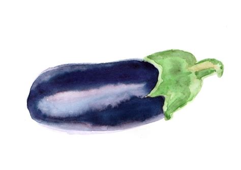 Eggplant Watercolor Watercolor Eggplant Watercolor Eggplant Color