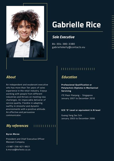 Professional Sale Executive Profile Online Resume Template Vistacreate