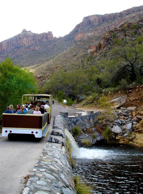 Beautiful Sabino Canyon Tram Tour In Tucson Arizonasunshinetours
