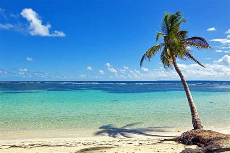 Conoce Las 20 Mejores Playas Del Caribe Turismo Y Viajes