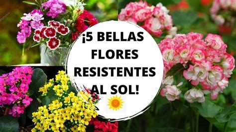 We did not find results for: Pin en Plantas 2