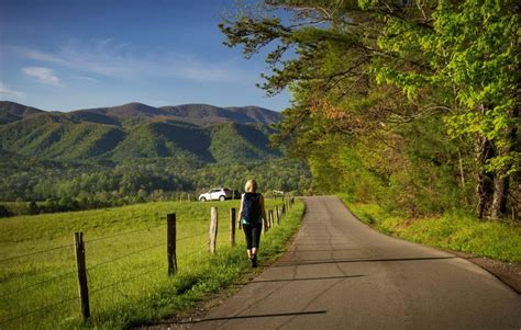 3 Reasons To Visit Cades Cove During Your Vacation The All Gatlinburg