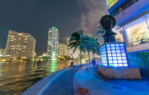 Photos Miami Florida Usa Palm Trees River Night Time Skyscrapers
