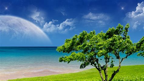 Create a folder called wallpapers under pictures folder in onedrive. Wallpaper Bluos: Background Wallpaper