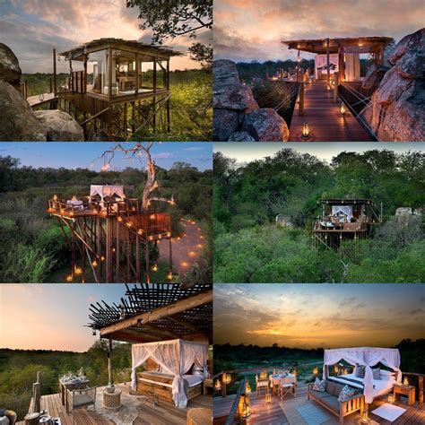 It is the most prestigious game reserve in south africa and is famous for incredible leopard and lion sightings. Lions Sands Game Reserve Treehouse's, South Africa | South ...