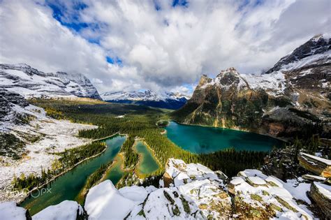 Lake Ohara Emerald Lake Snow Covered Mountain Peak And Rolling