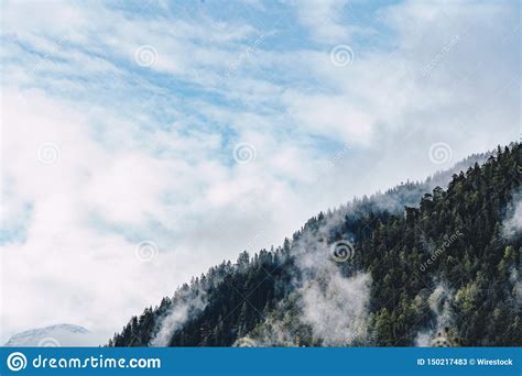 Aerial Shot Of A Forest On A High Hill With Clouds And Blue Sky Stock