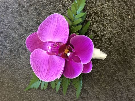 Magenta Phalaenopsis Orchid Wrist Corsage By Umbertos Flowers