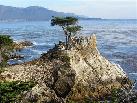 Lone Cypress Tree On 17 Mile Drive In Monterey California 2764 X 2073