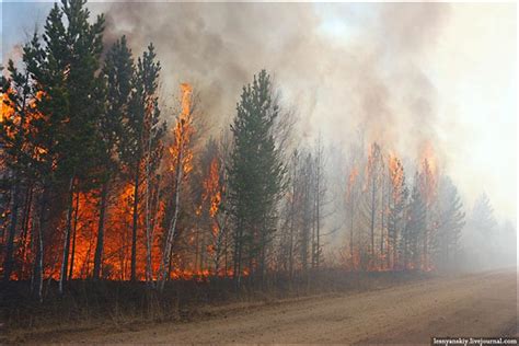 Worst In 1000 Years Siberian Wildfire Seen From Space As Boreal