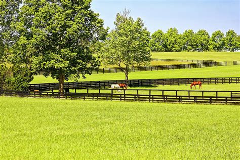 Horse Farm Scene Photograph By Sally Weigand Pixels