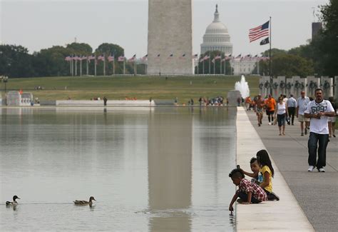 Parasite Kills 80 Ducklings At Lincoln Memorial Reflecting