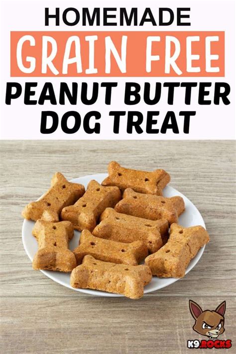Homemade Grain Free Peanut Butter Dog Treat K9 Rocks