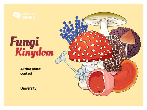 Fungi Kingdom Infographic Templates