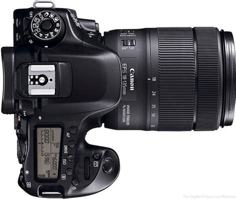 Canon Eos 80d Review Vivacamera