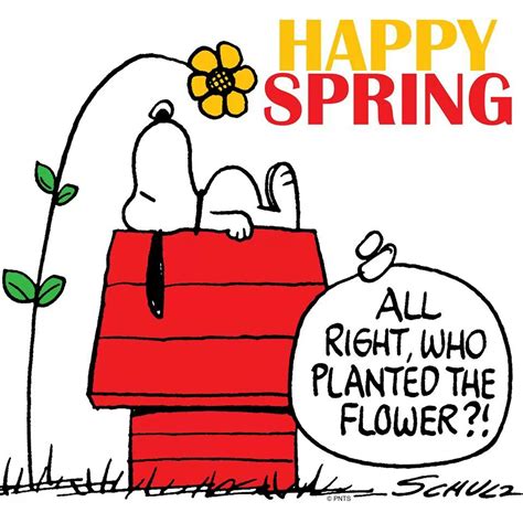 Happy Spring Snoopy Picture Quotes Quotesgram