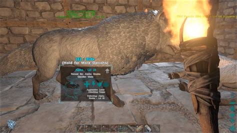 Ark Survival Evolved Dire Wolf Update And Taming Youtube