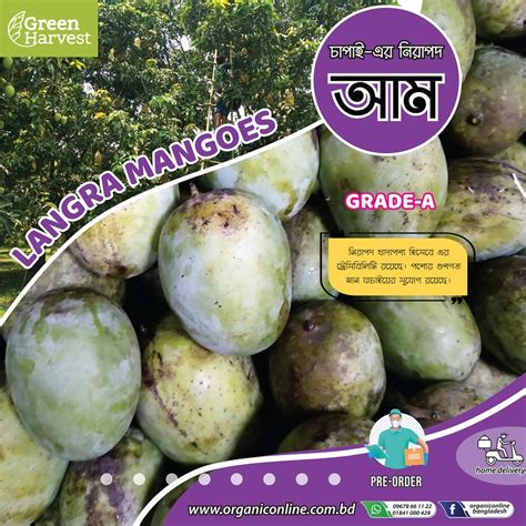 Langra Mango লেংড়া আম 5kg Organic Online