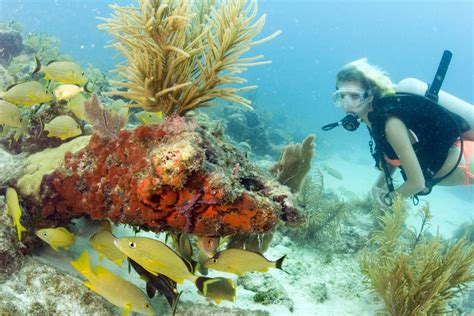 Florida Keys And Key West Mission Iconic Reefs Reiseberichte