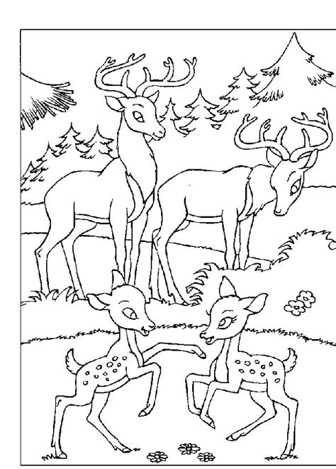 This is the 5th walt disney movie released after snow white, pinocchio, fantasia and dumbo. Bambi Coloring Page Disney Coloring Page | PicGifs.com