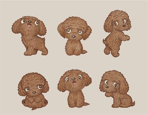 Toy Poodle Poodle Drawing Poodle Tattoo Dog Drawing
