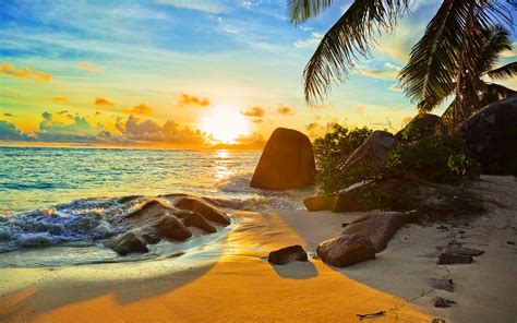 Tropical Beach At Sunset Wallpaper Hd 985