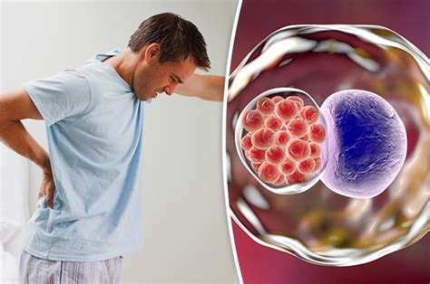 Symptoms Of Chlamydia In Males Six Warning Signs Of The Sti You Should
