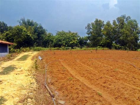 Tata bumi raya ialah perusahaan yang bergerak di bidang konstruksi dan developer. Tentang Kami - PT. BAJRA BUMI NUSANTARA
