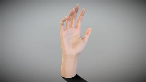 3d Scan Women Hand Hands Posed 3d Model Collection