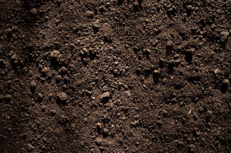 Premium Photo Fertile Loam Soil Suitable For Planting