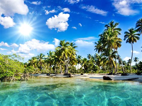 Sommer Tropisch Palmen Strand Meer 3840x2160 Uhd 4k