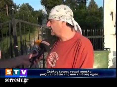 Η μάχη του σερραίου με τα φίδια απαθανατίστηκε σε ρεπορτάζ του τοπικού τηλεοπτικού σταθμού επιλογεσ στις σέρρες και έγινε viral στο διαδίκτυο, μέσα σε λίγες ώρες. ΦΙΔΙΑ ΣΤΗΝ ΠΟΛΗ ΤΩΝ ΣΕΡΡΩΝ | Doovi