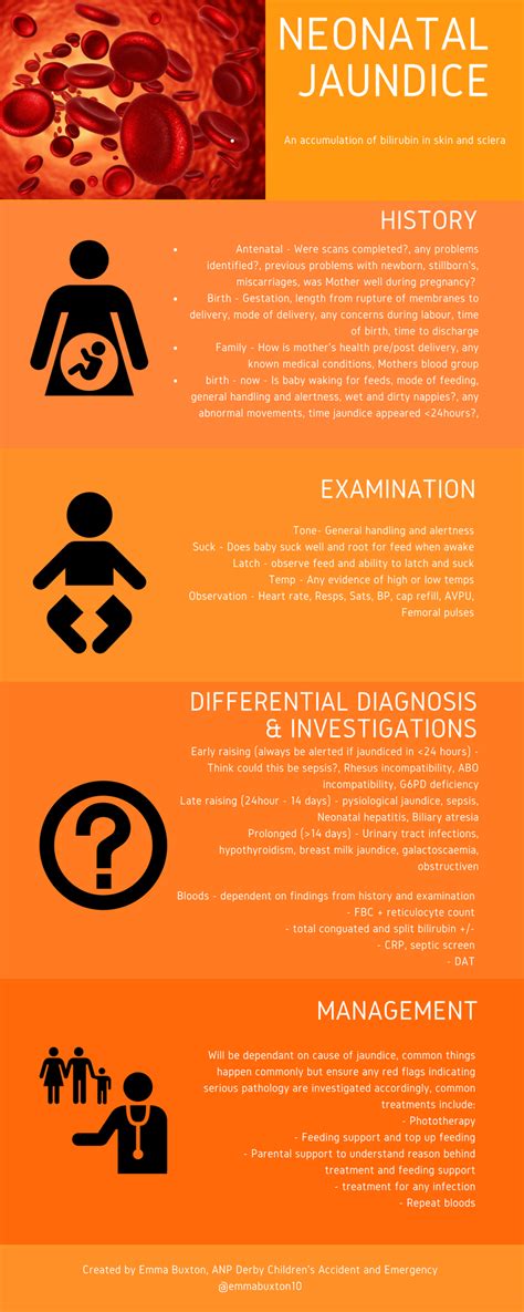 Neonatal Jaundice Pem Infographics