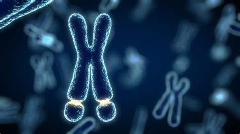 21 Best Interesting Facts About Fragile X Syndrome - Facts.net