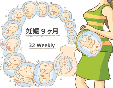 【妊娠32週】胎児と母体の症状で知っておきたいこと 妊娠kara出産made