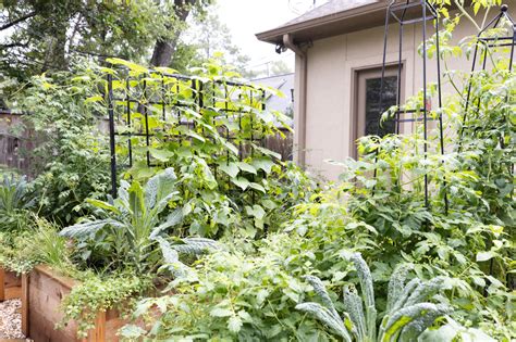 What Is A Kitchen Garden Gardenary