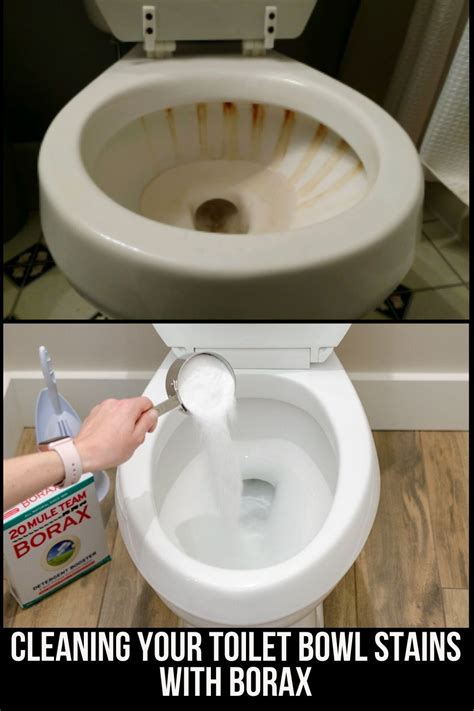 Pour one cup of vinegar (about 240ml) into your toilet bowl. How to clean toilet bowl stains with Borax | Clean toilet ...