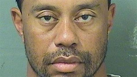 tiger woods blames medications for his arrest on dui charge