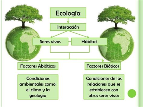 Bases De La Ecología
