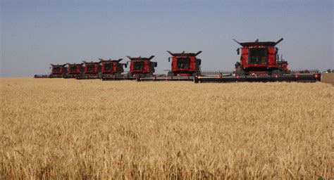 Walter Harvesting Custom Wheat And Grain Harvesting Farming And