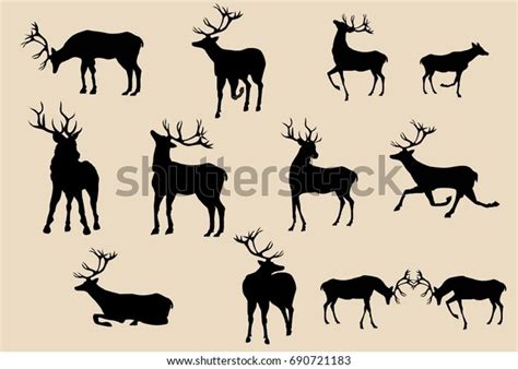 Set Deers Silhouettes Various Poses Vector Stock Vector Royalty Free