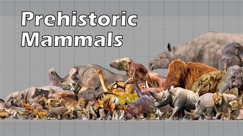 Size Comparison of Animals: the Prehistoric Mammals - YouTube