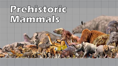 Biggest Prehistoric Mammals Of East Asia Herbivore Po