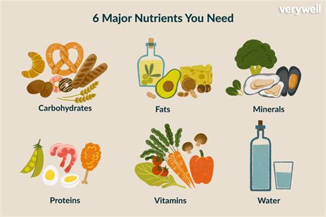 3 Undeniable Reasons Why Your Body Needs Nutrients In 2022 Nutrient