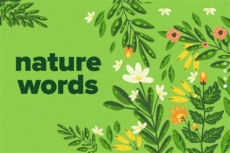 160 Essential Nature Words To Grow Your English Fluentu English