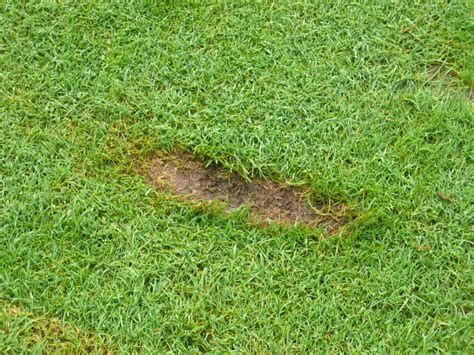 How To Fix A Divot On The Golf Course Improving