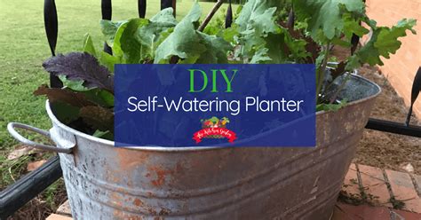 How To Make A Diy Self Watering Planter The Kitchen Garten