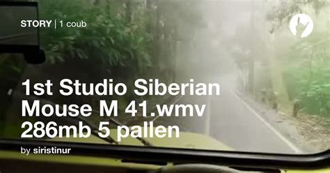 1st Studio Siberian Mouse M 41wmv 286mb 5 Pallen Coub