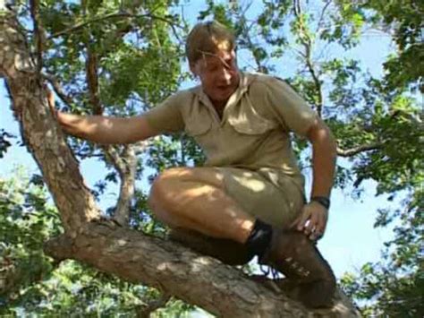 Cloud dvr with no storage limits. Crocodile Hunter « Steve und die Drachen » | 1/4 | - YouTube