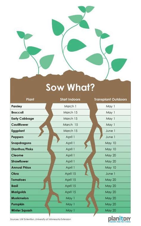 Use This Chart To Plan When To Start Seeds Indoors And When To